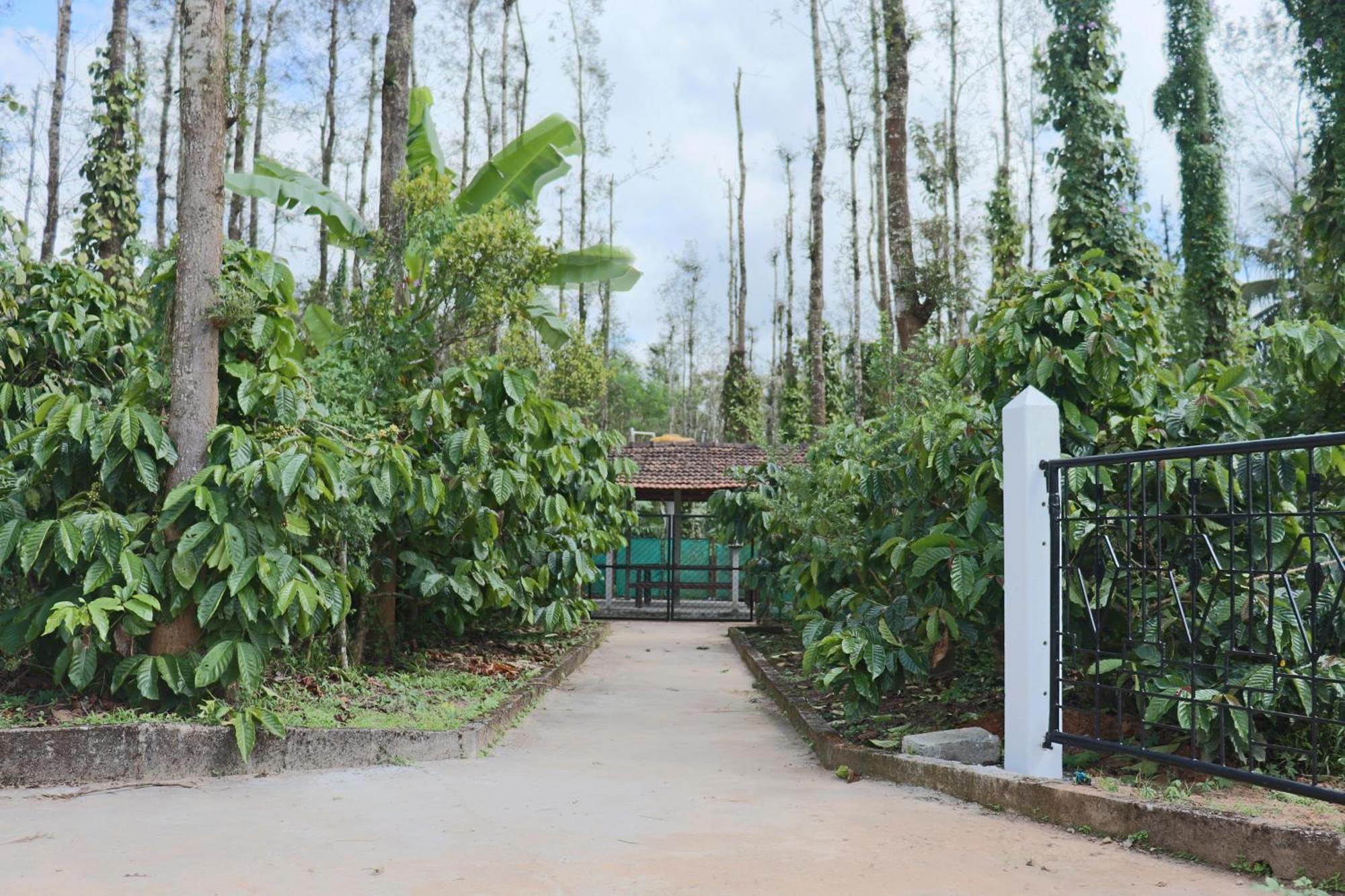 Coffeebean Villa - Unwind & Rejuvenate Sakleshpur Exterior foto